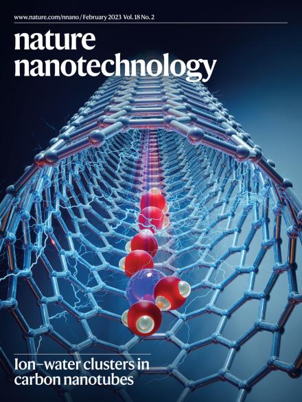 Nature Nanotechnology