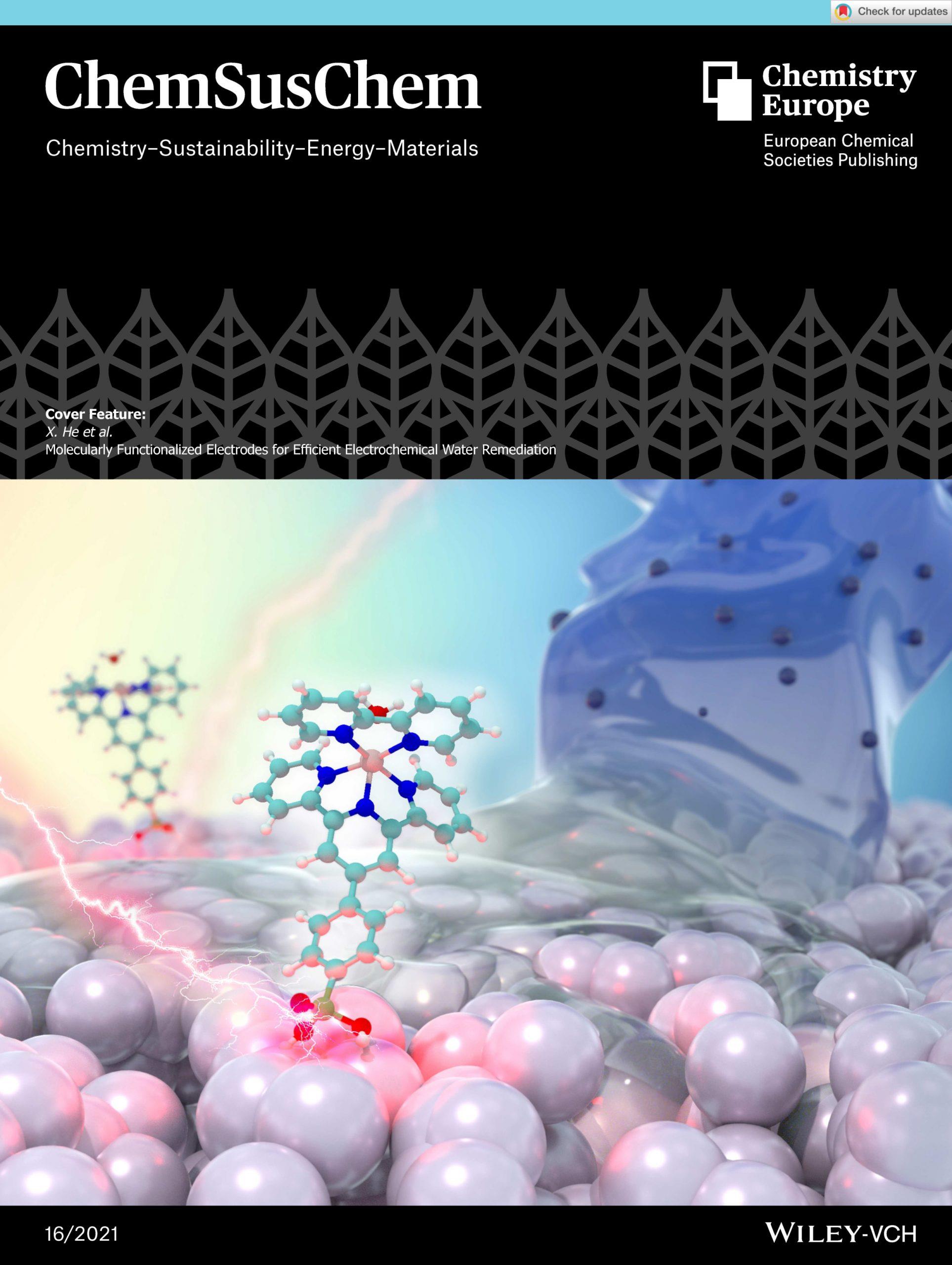 ChemSusChem