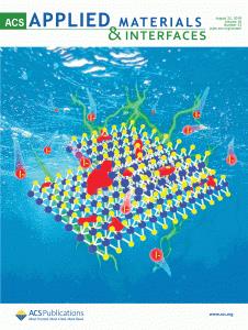 ACS应用材料与界面