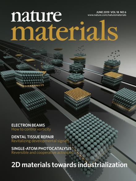 2D Materials