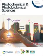 Photochemical & Photobiological Sciences