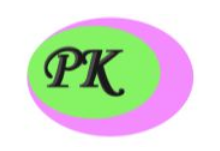 PK Chem Industries Ltd