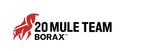 Borax Français