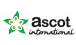 Ascot International Ltd