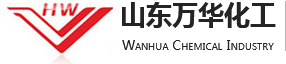 Shandong Wanhua Chemical Technology Co., Ltd